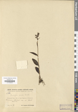 LE 01029128