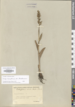 LE 01029139