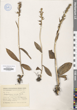 LE 01029141