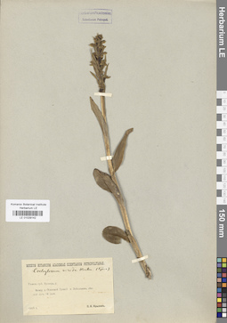 LE 01029142
