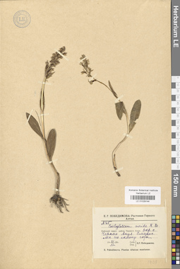 LE 01029144
