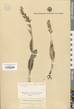 LE 01029146