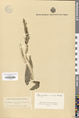 LE 01029147