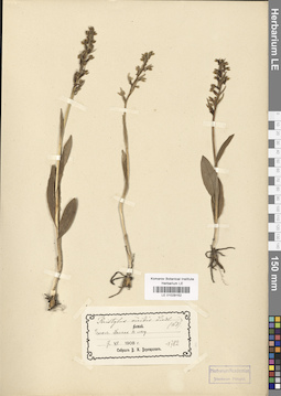 LE 01029152