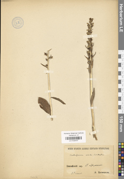 LE 01029157