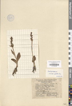 LE 01029158