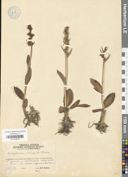 LE 01029159