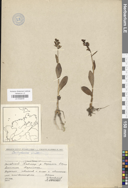 LE 01029161