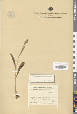 LE 01029162