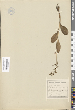 LE 01029163