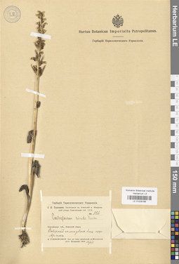 LE 01029166
