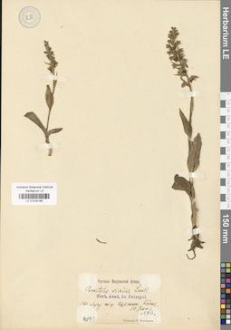 LE 01029168