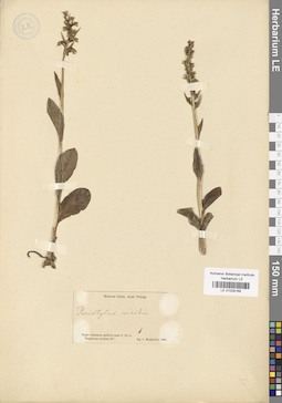 LE 01029169
