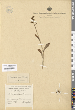 LE 01029170