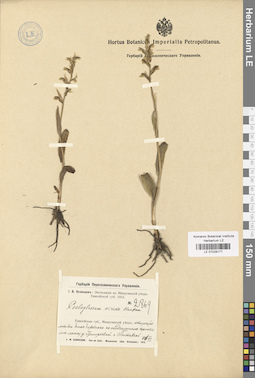LE 01029171