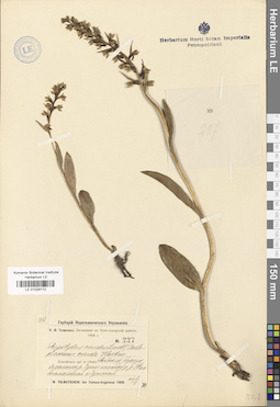 LE 01029172