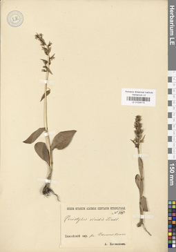 LE 01029173