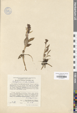 LE 01029174