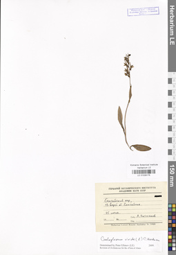 LE 01029175