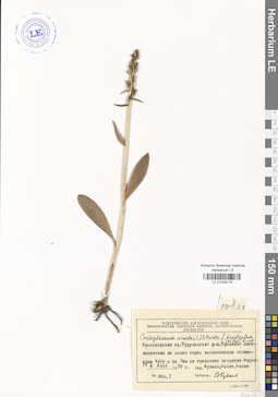 LE 01029176