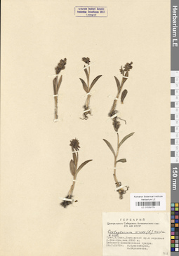 LE 01029179