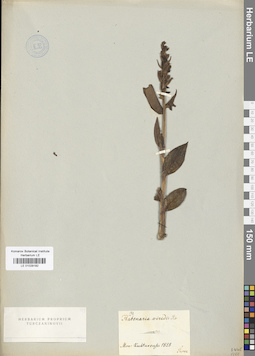 LE 01029182
