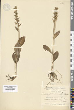 LE 01029183