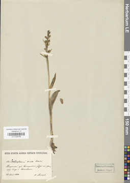 LE 01029184