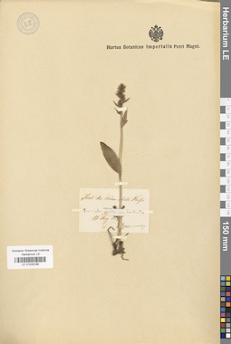 LE 01029186