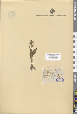 LE 01029187