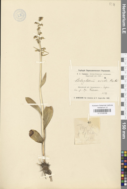 LE 01029188
