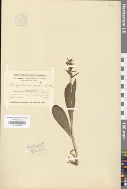 LE 01029189