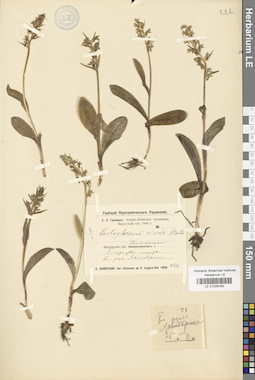 LE 01029190