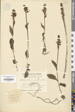 LE 01029191