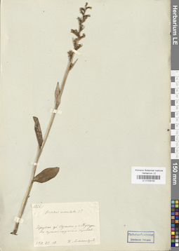 LE 01029192