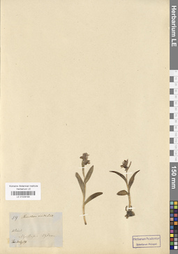 LE 01029193