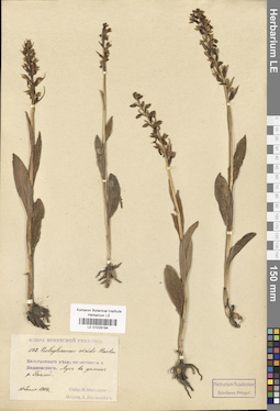 LE 01029194