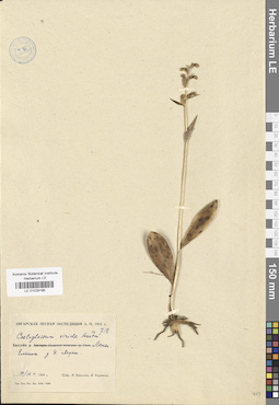 LE 01029195