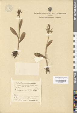LE 01029197