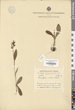 LE 01029198