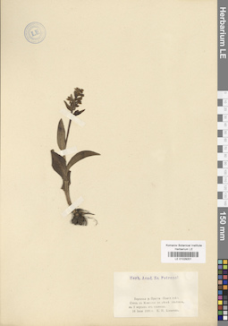LE 01029201