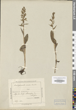 LE 01029202
