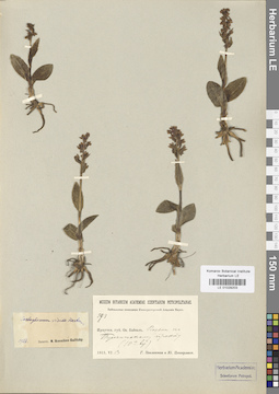 LE 01029203