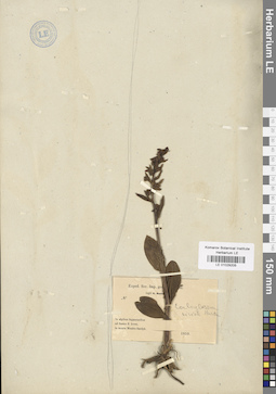 LE 01029205