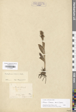 LE 01029207