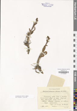 LE 01029208
