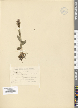 LE 01029215