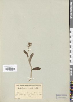 LE 01029218