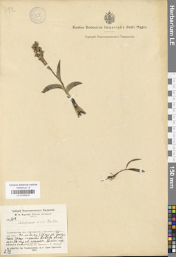 LE 01029219