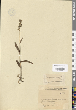 LE 01029224